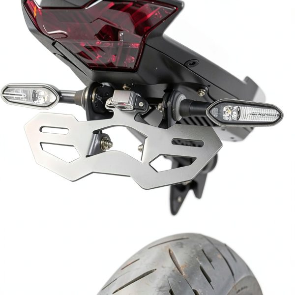 License Plate Holder GZDLMoto Aluminum Eliminator-2